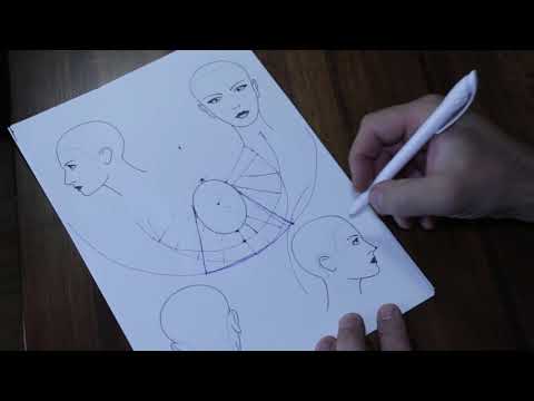 Basics of haircut construction, round shape, square shape
