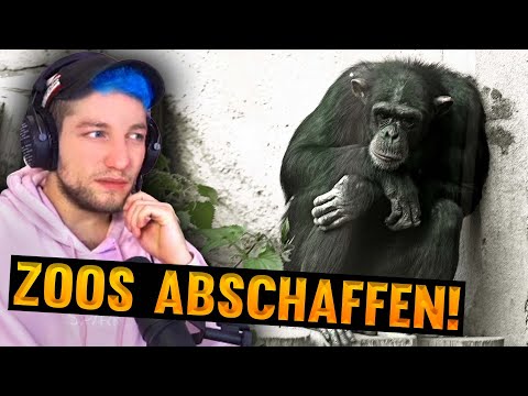 So VERWERFLICH sind ZOOS | Rezo REAGIERT auf Alicia Joe