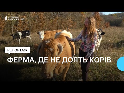 Анна Нечепорук з чоловіком тримають ферму, яку започаткувала бабуся
