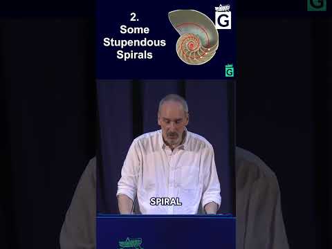 The Nautilus Spiral: Mathematical Secret