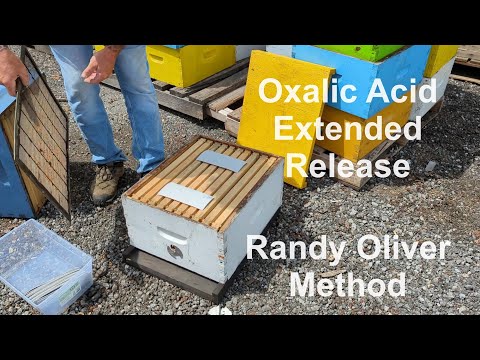 Oxalic Acid Extended Release Varroa Mite Treatment - Randy Oliver