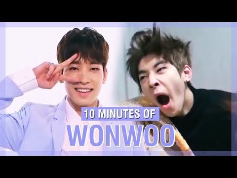 10 MINUTES OF SEVENTEEN WONWOO'S FUNNY MOMENTS