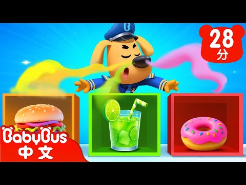 【新劇集】氣味追蹤 | 鼻子聞不到氣味了 | 水城季🌊 EP 14 | 動畫 | Kids Cartoon | 安全教育 | 安全警長啦咘啦哆 | 寶寶巴士 BabyBus