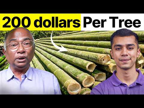 Bamboo Farming, Carbon Credits & Ethanol Production | Agritalk by Abhinav Roy (Part 1)
