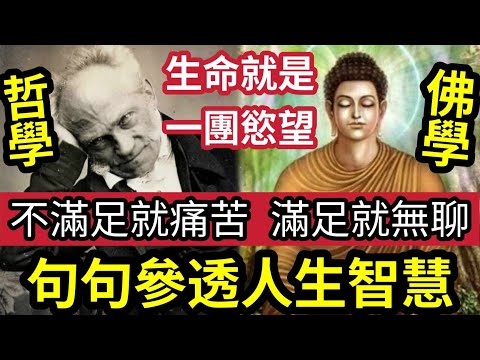 #佛禪 你懂思考人生嗎？佛學「是頂級哲學」叔本華「80句語錄」真的句句「參透人生智慧？」生命就是一團慾望！不滿足就痛苦，滿足就無很無聊！佛陀也是哲學家？