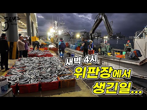 새벽 4시 .. 갑작스럽게 처음 겪는 상황 ! 위판장에서는 무슨일이...