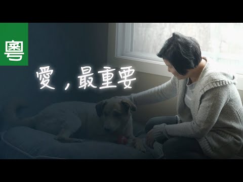 電視見證 TV1709 愛,最重要 (HD粵語)