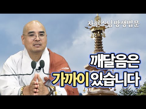 일상 속에서 찾는 불교적 깨달음