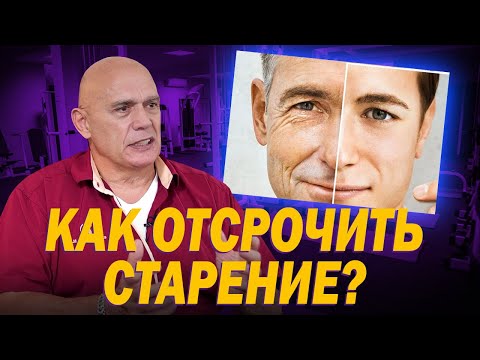 What is aging and how can it be delayed? The impact of blood flow and muscle on health and longevity