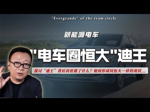 迪王的赌局难以维系，车圈的恒大暴雷在即！19分钟拆解电车辟邪剑谱。｜新能源｜虚假销售｜研发费用｜迪链｜