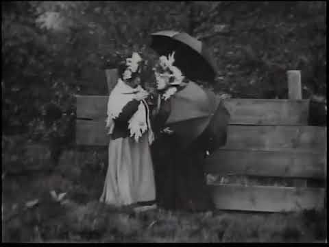 Ladies' Skirts Nailed to a Fence (1899 or 1900) | Nothing Keeps Them in Place Better Than This