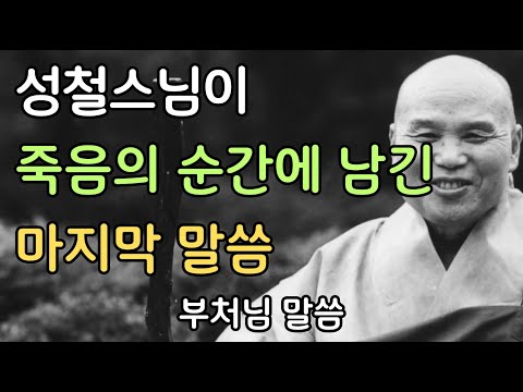성철스님이 죽음의 순간에 남긴 마지막 말씀 | 부처님말씀 | 불교명언 | 성철스님 | 법문 | 좋은말씀
