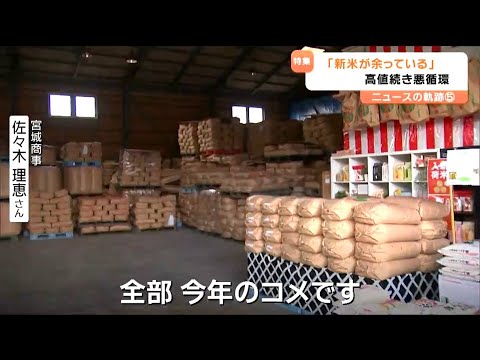 「米はあるのに、なぜ高い?」業者の倉庫に眠る新米 品薄への恐怖が招いた“集荷競争”が「高止まり続く要因に」