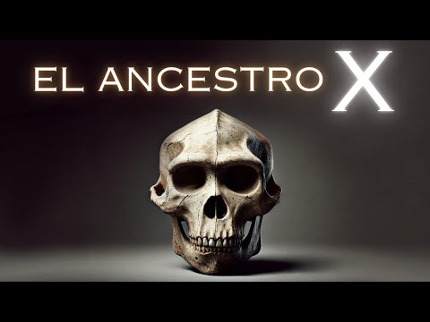 El Misterio Más Grande de la Evolución Humana