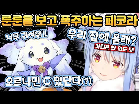 폭주해서 룬룬을 집에서 키우려는 페코라 [홀로라이브/니지산지/우사다 페코라/호쇼 마린/룬룬]