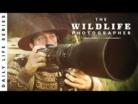 Hard Work Gets Rewarded - Mistakes Punished