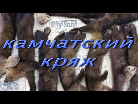 Камчатский кряж
