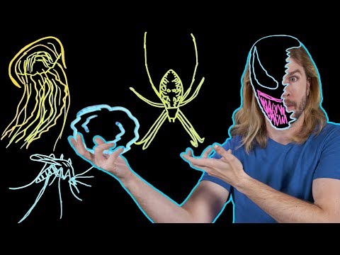 What Kind of Symbiote Is Venom?