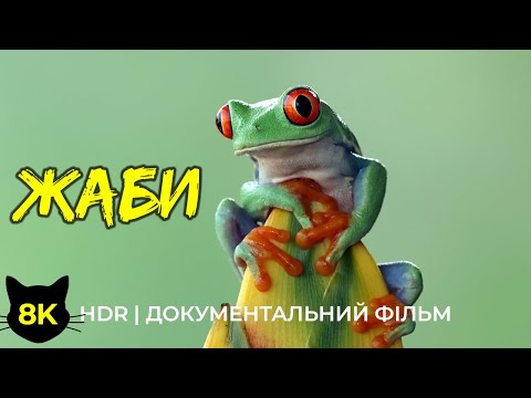 Світ жаб та ропух – Унікальні кадри земноводних у 8К HDR | Документальний фільм про природу