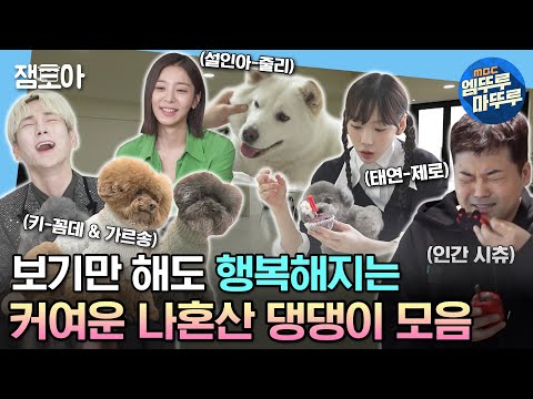 [#나혼자산다] 강아지와 함께 하는 삶, 이게 바로 행복이지❤️ 귀여움 한도 초과 나혼산 강아지들 모음.zip | #키 #전현무 #태연 #설인아 #반려견 MBC230203방송