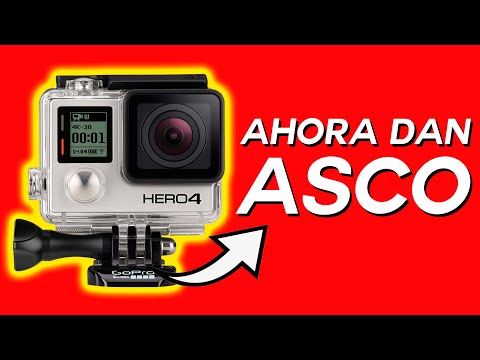 ¿Que paso con GoPro? Como un SURFISTA ARRUINO LA COMPAÑIA