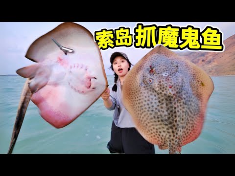 Catching rays on Socotra Island, Devilfish weighs 5 pounds, cooking fishballs is delicious！