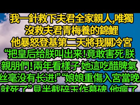 我一針救下夫君全家親人，唯獨沒救夫君青梅養的錦鯉，他暴怒登基第二天將我關冷宮“把皇后给朕叫出来！竟敢害死朕親朋們！兩年看樣子，她脾氣丝毫没有长进!”“娘娘重傷入宮當晚就死了”