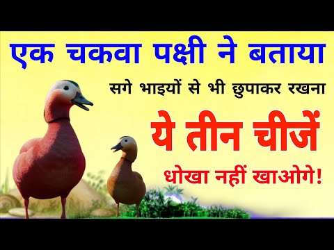 एक चकवा पक्षी ने बताया सगे भाइयों से भी छुपाकर रखना ये तीन चीजें, कभी धोखा नहीं खाओगे!