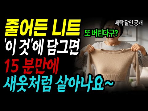 줄어든 니트 집에서 100% 살리는 세탁소 영업비밀, 제발 린스물에 담그지 마세요!