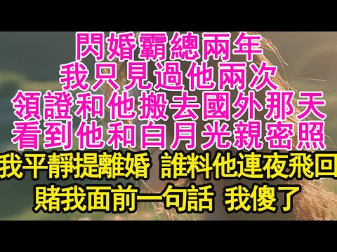 閃婚霸總兩年，我只見過他兩次，領證和他搬去國外那天，看到他和白月光親密照，我平靜提離婚 誰料他連夜飛回，賭我面前一句話 我傻了【琉璃】【甜寵】【霸總】