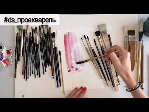 Про кисти для рисования. Рубрика ПроАкварель с Ольгой Котовой / Как выбирать и хранить кисточки
