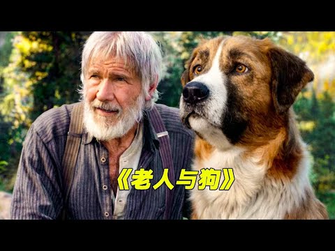 宠物狗被拐到千里之外，一路逆袭成为了自己的主人