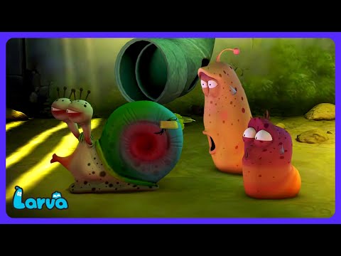 Larva - A Vingança do Caracol! | Desenhos Infantis | WildBrain Crianças