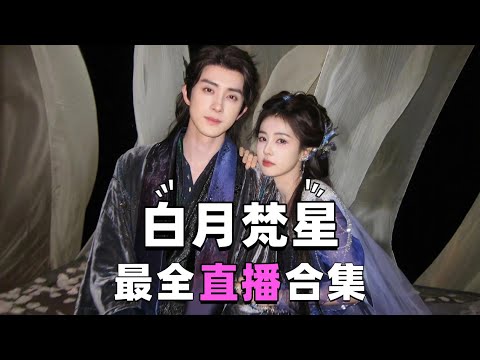 【白月梵星直播独家完整版】剧组爆料：高甜片场日常让人上头！#白鹿 #敖瑞鹏 #代露娃 #常华森 #张鑫 #刘令姿 #白月梵星