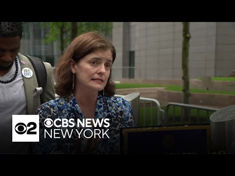 NYC Comptroller Brad Lander's wife speaks out about his arrest