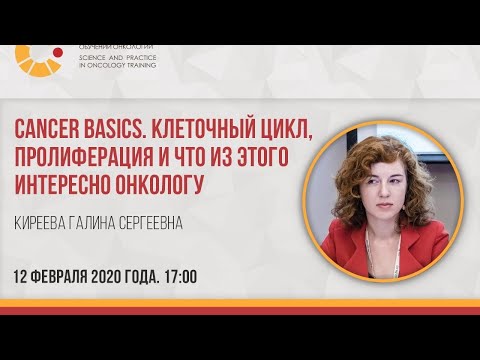 «SPOT: CANCER BASICS. Клеточный цикл, пролифирация и что из этого интересно онкологу.