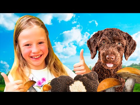 Nastya cuida animales e historias sobre la amistad