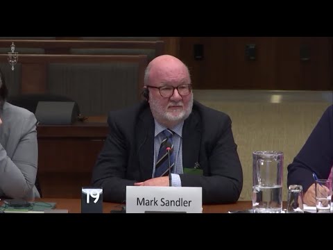 Excerpts from Bill C-9 Testimony at the Justice Committee – Including Mark Sandler (Oct. 23, 2025)