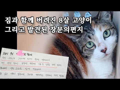 장문의 편지속 사연과 함께 버려진 8살 고양이 별이[몰아보기]1년의 시간