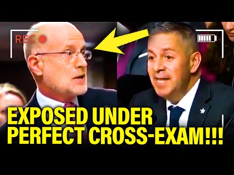 Trump TOP WITNESS Gets EXPOSED by CROSS-EXAM in SENATE HEARING