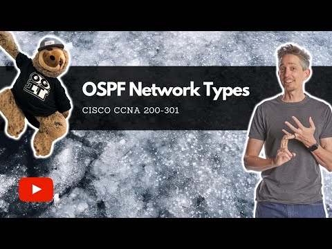 OSPF Network Types | Cisco CCNA 200-301