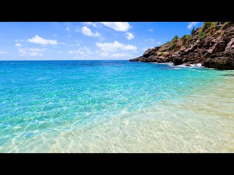Tropical Beach Ambience: 3 Hours of Peaceful Ocean Waves (4K Video)