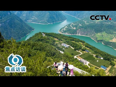 人均收入翻了近10倍！深山“穷窝窝”逆袭成“农旅名村”，领路人是他们 | CCTV「焦点访谈」20260301
