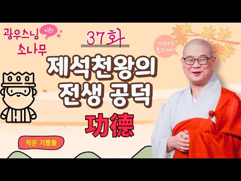 ✅✅✅  전생에 욕심으로 인색한 삶을 산 사람은 이번 생에 가난한 삶을 살게된다ㅣ광우스님의 소나무 시즌1 제37화ㅣ 작은 기쁨들