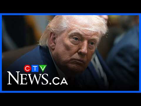 What could Trump's next move be? Here's what we know