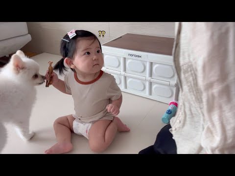 애개육아에서 변하지 않는 한가지