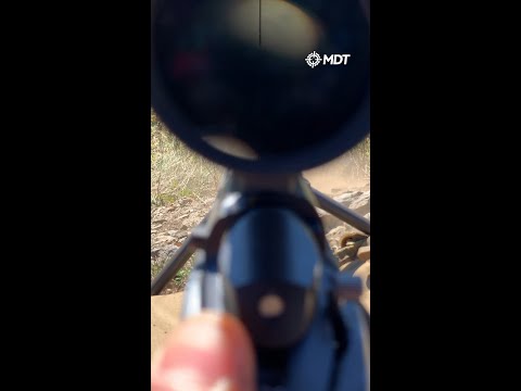 What to do when your scope goes black