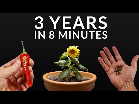1210 Days in 8 Minutes - Plant Time-lapse Compilation