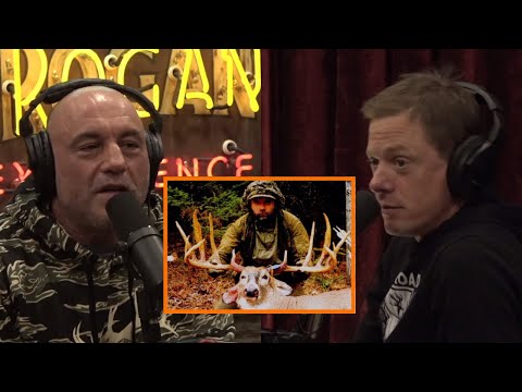 The ROMPOLA BUCK CONTROVERSY (Part 1)