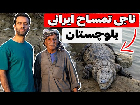Iran Crocodile - بزرگ ترین خزنده ایران در باهوکلات
